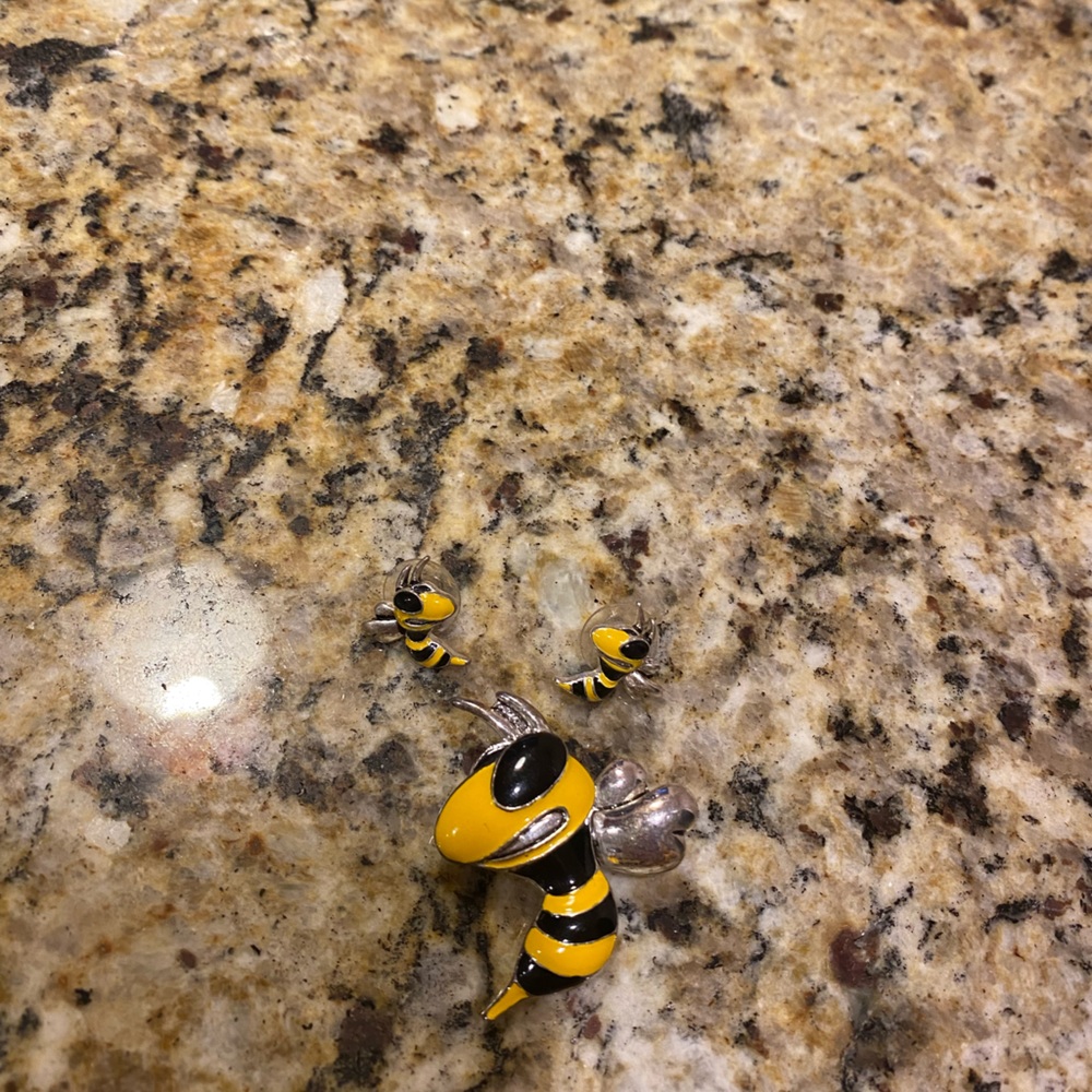 Georgia Tech Buzz earring studs and brooch/slide.
